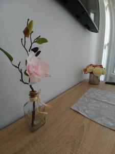 Fotografie z fotogalerie ubytování Apartmani Valuna v destinaci Privlaka