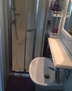 a bathroom with a shower and a white sink at Gîtes Les Perouilles - La Roulotte Climatisée avec Jacuzzi de Josépha in Puymiclan