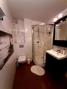 a bathroom with a shower and a toilet and a sink at Old Town Apartment in Malbork