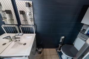 een badkamer met een witte wastafel en een toilet bij Petit gite du Bistrot d ici in Saint-Saturnin