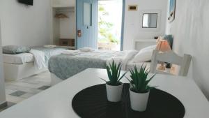 une chambre blanche avec deux plantes en pot sur une table dans l'établissement Sunny Studios Naxos, à Plage d'Aliko