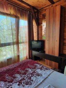 a bedroom with a bed and a television in a cabin at Kitech Guest House in Odesa