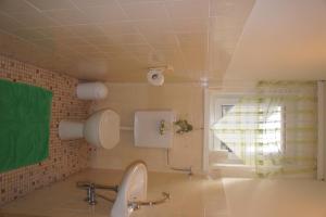 baño con aseo y lavabo y ventana en Appartementhaus Alpina, en Flattach
