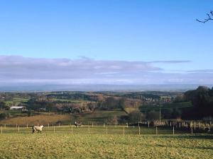 Nidderdale Glamping