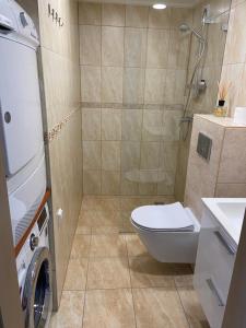 łazienka z toaletą i pralką w obiekcie "Mini apartamentai", Malūno Vilos w Połądze