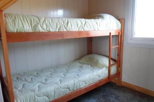 two bunk beds in a room with a window at Apart Hotel Curahue in Junín de los Andes