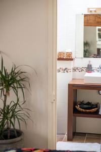 cocina con fregadero y maceta en La Belle Amarre-Bed and Breakfast-Maison d'Hôtes, en La Rochelle 59 fotos más