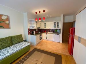 マリアーンスケー・ラーズニェにあるML Suitesのキッチン(ソファ、赤い冷蔵庫付)