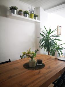 einem Holztisch mit Topfpflanzen darüber in der Unterkunft B&B Riverside - Centre of Bruges in calm area in Brügge