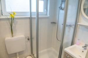 a bathroom with a shower and a toilet and a sink at Haus am Meer in Scharbeutz +21 photos