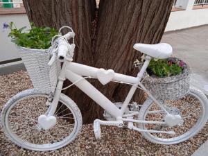 una bicicletta bianca parcheggiata accanto a un albero di Guest House Oleandro a Santa Maria Navarrese