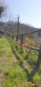Gallery image of Villa Maria in Mignanego +17 photos