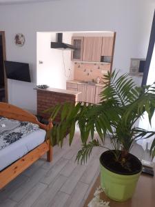 Photo de la galerie de l'établissement Oázis Apartman, à Sárospatak