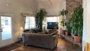 a living room with a couch and potted plants at Safari Inn - Chico in Chico