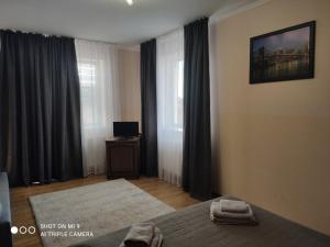 a living room with a bed and a television at Apartments On Beregovskaya 3 in Mukacheve