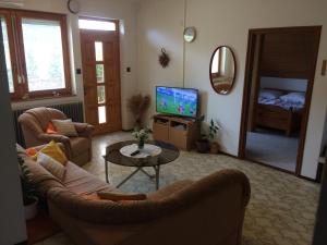 TV a/nebo společenská místnost v ubytování Szalai Vendégház