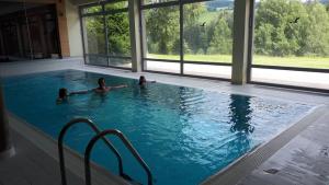 Bazén v ubytovaní Wellness apartmány Říčky v Orlických horách alebo v jeho blízkosti