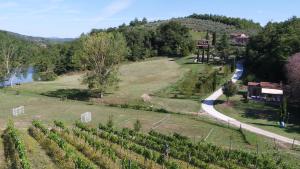 arial view of a vineyard with a road and a river at Agriturismo San Bernardino Del Lago in Rapolano Terme
