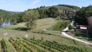 - une vue aride sur un vignoble avec une route et une rivière dans l'établissement Agriturismo San Bernardino Del Lago, à Rapolano Terme