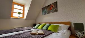 Posteľ alebo postele v izbe v ubytovaní Wellness apartmány Říčky v Orlických horách
