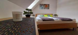 Posteľ alebo postele v izbe v ubytovaní Wellness apartmány Říčky v Orlických horách