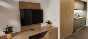 Kuchyňa alebo kuchynka v ubytovaní Wellness apartmány Říčky v Orlických horách