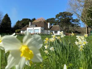 Broad Mead في كورف كاسل: ميدان النرجس امام المنزل