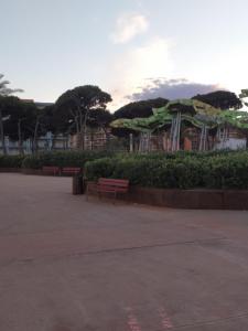 A garden outside Dafne's Beach