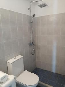 a bathroom with a toilet and a shower at Plaka's house seaside view in Plaka +15 photos