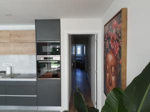 cocina con fregadero y fogones en Exotic Fusion double Suite with Garden, en Lisboa