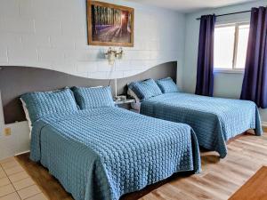 two beds in a room with blue walls at Jacques Cartier Motel in Sydney