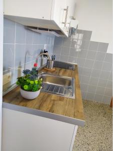 - un évier de cuisine avec une plante en pot sur un comptoir dans l'établissement Los atardeceres más bellos del Sauzal, à El Sauzal