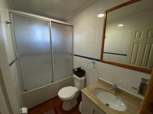 Depto N°3 Temuco Centro في تيموكو: حمام مع مرحاض ومغسلة ومرآة