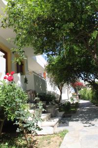 a group of trees and stairs next to a building at Michael Apartments in Rethymno
