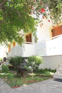
a garden area with a tree and shrubbery at Michael Apartments in Rethymno
