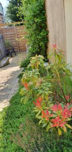 un jardín con flores rojas junto a un banco en Entre ville et campagne, en Athis-Mons