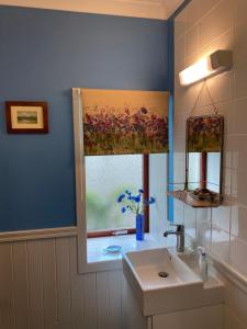 格倫科的住宿－Holly Cottage，一间带水槽和窗户的浴室