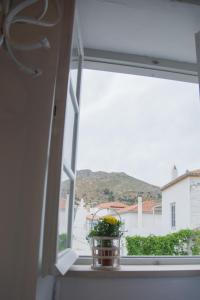 a plant in a pot sitting on a window sill at Sokaki House in Hydra
