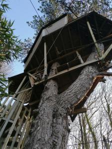 a tree house perched on top of a tree trunk at SHERWOOD TREE in Étretat