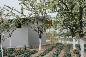 un jardín frente a una casa blanca con árboles en Anchor home, en Brčko