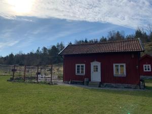 a red house in a field with a fence at The Fork and Shovel Farm in Bräcke