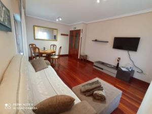 ein Wohnzimmer mit einem Sofa und einem TV in der Unterkunft Pedroenea Apartamento Elizondo in Elizondo