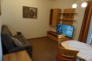 TV a/nebo společenská místnost v ubytování Appartementhaus Hüttenberger