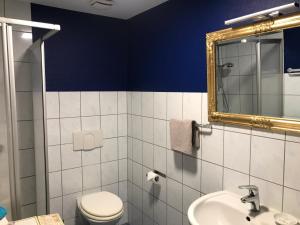 a bathroom with a toilet and a sink and a mirror at Ferienwohnung Laaslich in Laaslich