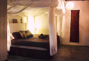 Foto sihtkohas Balule Nature Reserve asuva majutusasutuse Lamai Safari Lodge galeriist