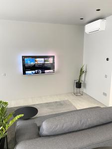 a living room with a couch and a tv on the wall at Caсtus Apartments 1 in Ivano-Frankivsk