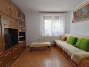 a living room with a couch and a tv at Bela golobica Bogojina in Bogojina