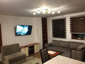 コパオニクにあるApartman B3 u vili Suriのリビングルーム(ソファ、壁掛けテレビ付)