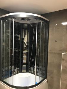 コパオニクにあるApartman B3 u vili Suriのバスルーム(ガラス張りのシャワー付) +6枚の写真