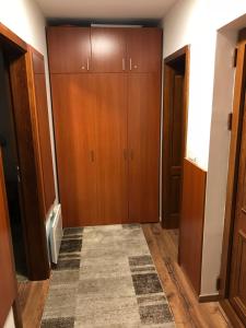 コパオニクにあるApartman B3 u vili Suriの木製のキャビネットとラグ付きの客室です。